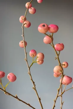 Pip Kunstliche Blumen Sweet Symphony