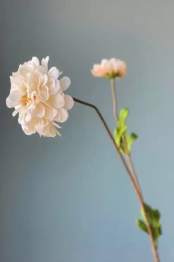 Pip Kunstliche Blumen Vanilla Bloom