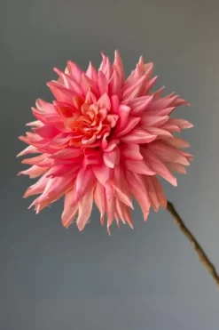 Pip Kunstliche Blumen Vanilla Bloom